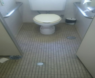 gCO